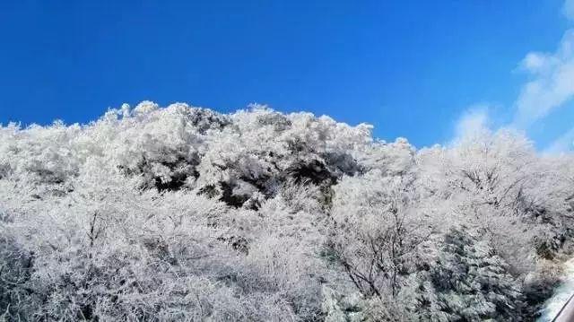 美丽海洋找不同