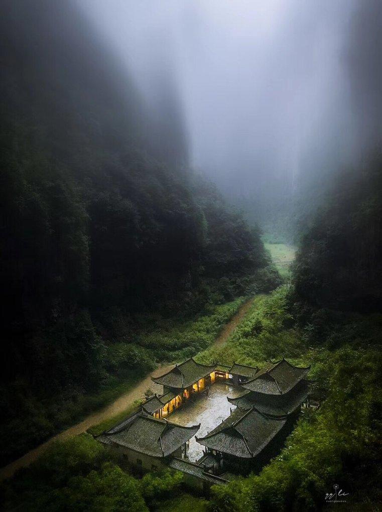 危险森林大逃脱
