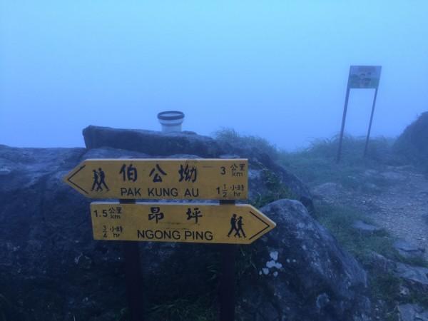 组装机械机甲暴龙2