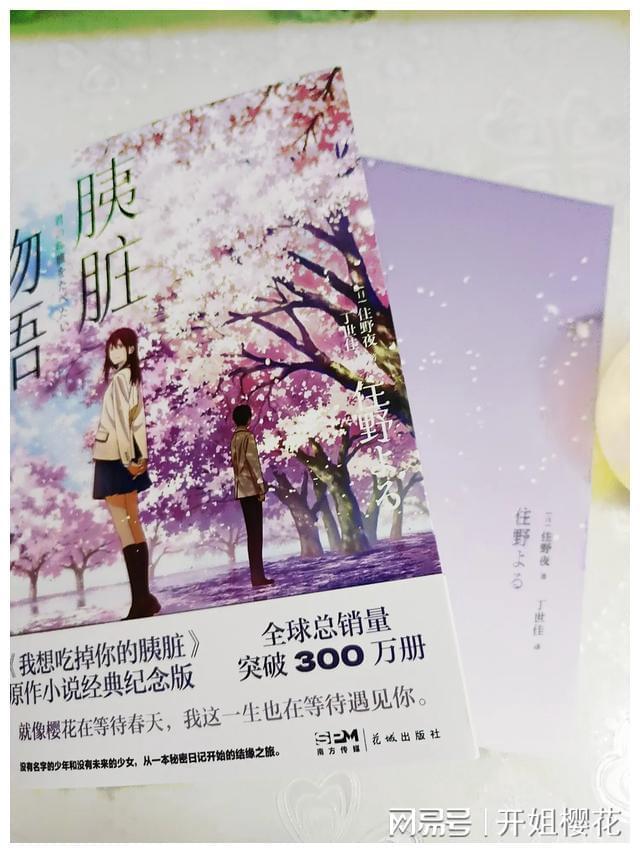 国际商标可以运用在何处？