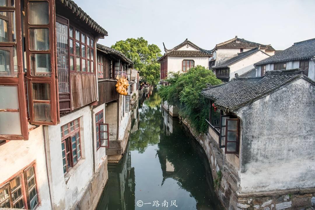 蛇蛇争霸