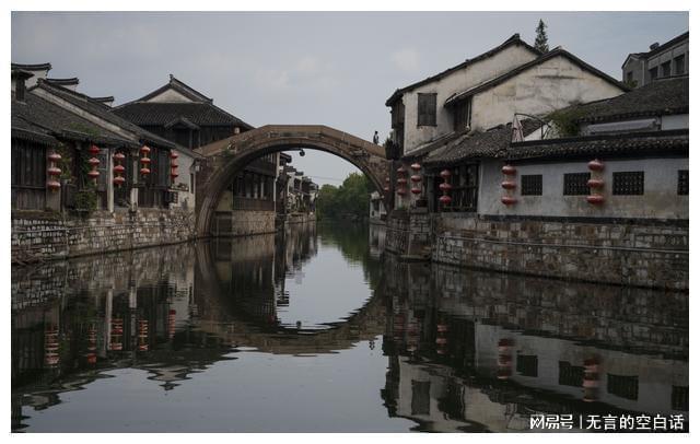 动物帮帮忙保卫家园