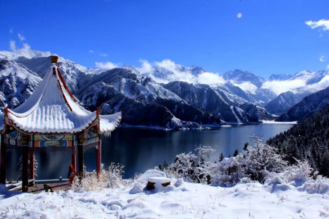 梦想之森