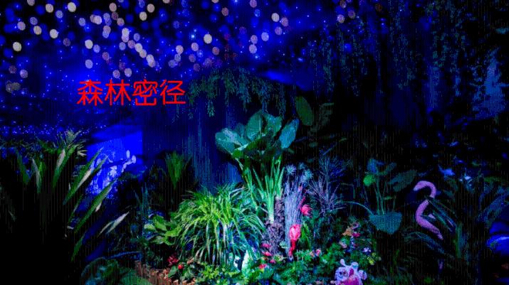 逃离陈旧房4